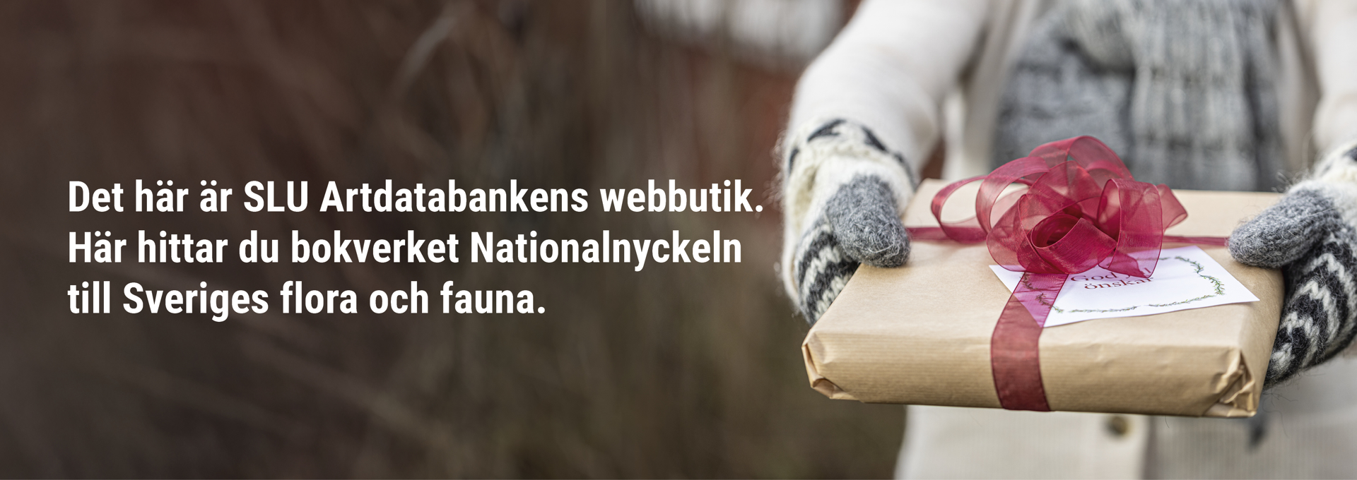 Person med stickad tröja och vantar räcker fram julklapp bredvid texten Det här är SLU Artdatabankens webbutik. Här hittar du bokverket Nationalnyckeln till Sveriges flora och fauna